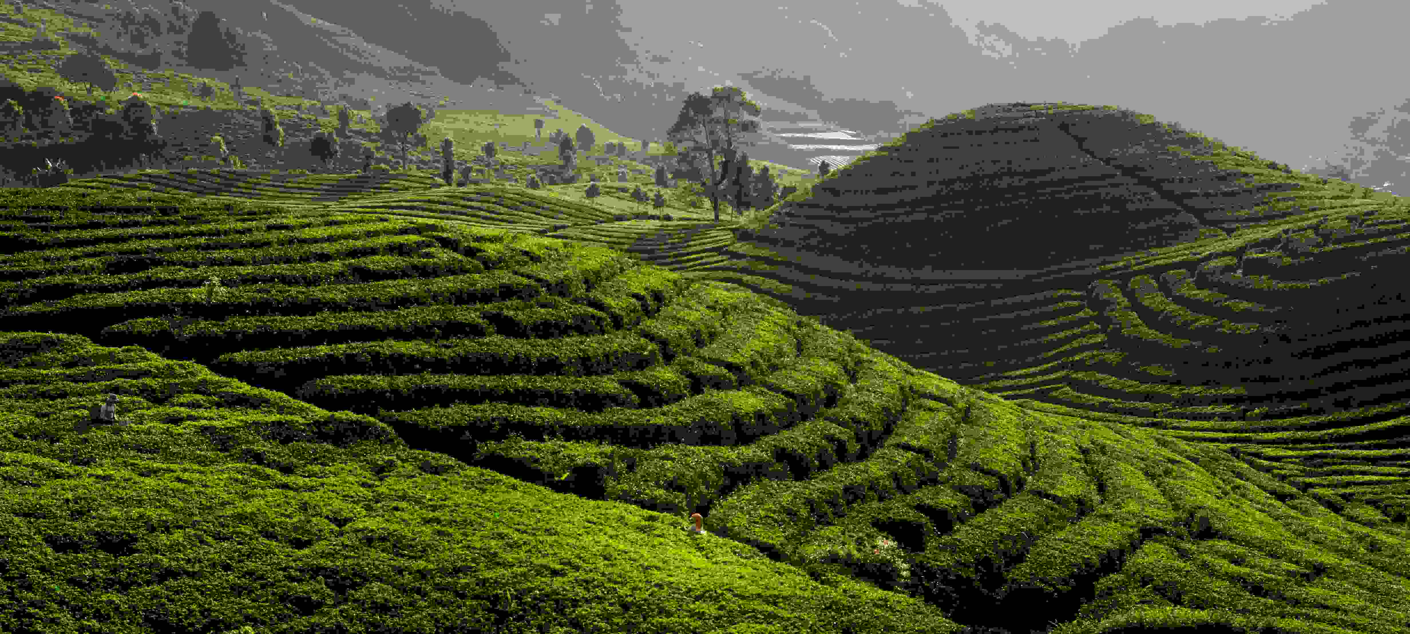 Investment Products Investment Products