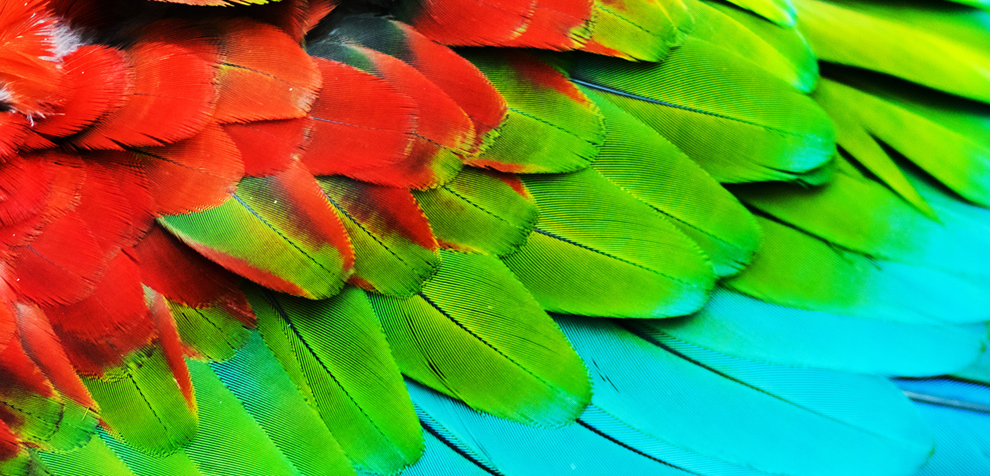 the-power-of-digital-trade-neferti-banner the-power-of-digital-trade-neferti-banner